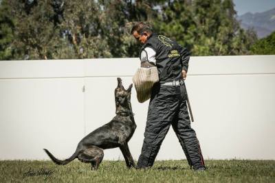 14696978_10154555291029820_1175510077_n