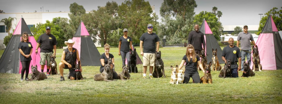 poolpartytraining-65