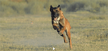 Screen Shot 2016-02-17 at 9.28.29 PM